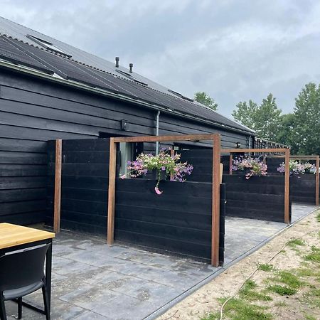 Cozy Holiday Home In Vrouwenpolder Close To The Beach 外观 照片