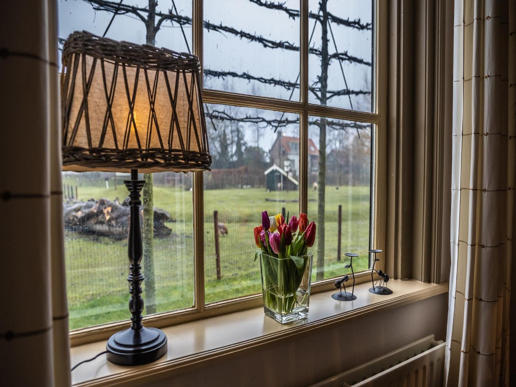 Cozy Holiday Home In Vrouwenpolder Close To The Beach 外观 照片